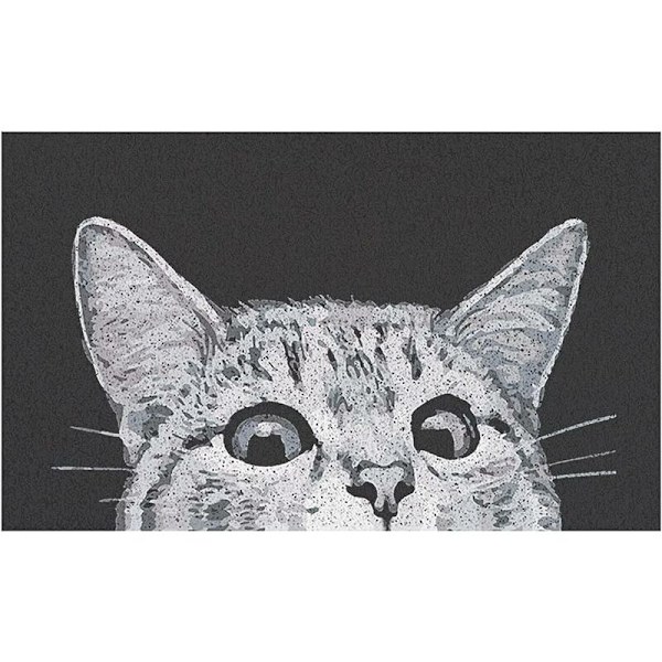 Katt dörrmatta inomhus utomhus välkomstmatta lera absorberande dörrmatta, entrématta matta utanför uteplats/inomhus entré, halkfria mattor gummibaksida,