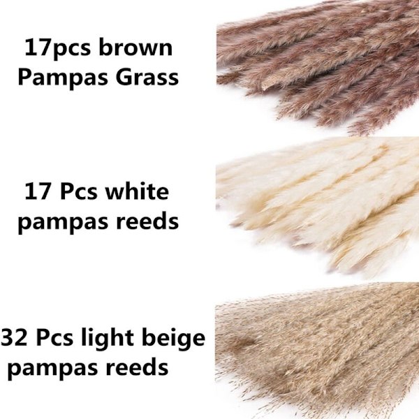 66 stk. tørret pampasgræs med 3 farver fluffy svingende DIY boho plante dekorativ blomsterbuket