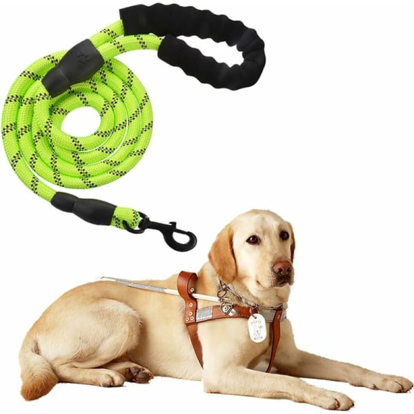 Högkvalitativ svart reflekterande starkt justerbart hundkoppel i nylon 150 cm för stora eller medelstora hundar Lämplig för löpning joggingvandring (grön)