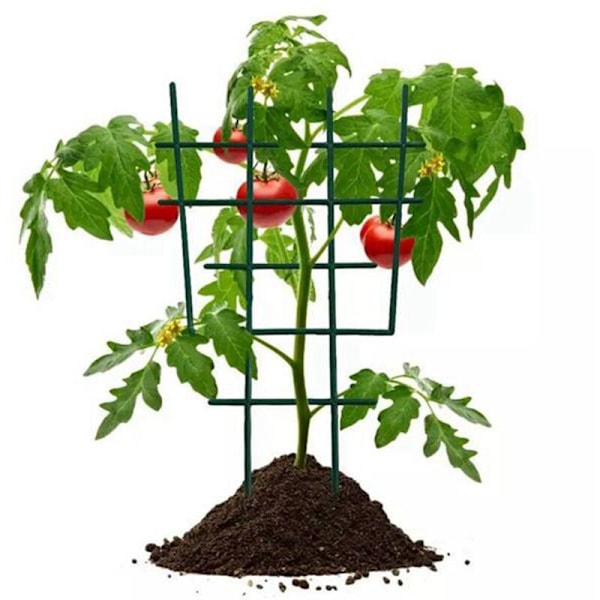 10 stk. serie klatreplanter støtte mini plast plante espalier DIY have pottevækst støtte til klatreplanter vinstok