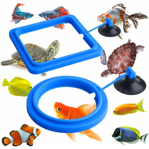 2 stykker fiskefoderring, til akvariefiskskildpaddetanktilbehør fodringscirkel (blå) HIASDFLS