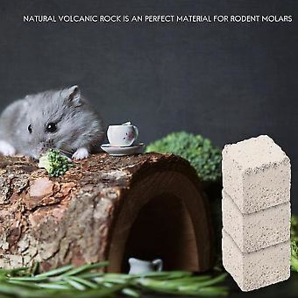 20 st Molar Hamster Chinchilla Kanin Lavablock Molarsten Hamster Litet Husdjur Bitresistent Kub