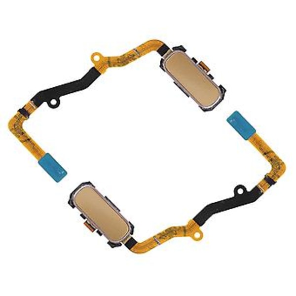 Fingeravtrycksknapp, Hemknapp Fingeravtryck Fingeravtrycksläsare Hemknapp Toppklass