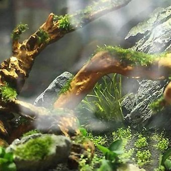 Lar D Grene Reptiler Rium Tank Rotte Tank Hule Ut