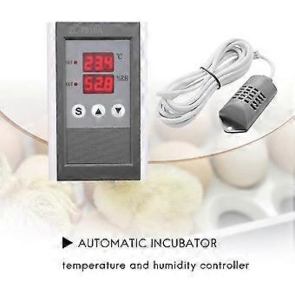 -7816a, 12V, Temperatur- og fugtighedsregulator, termostat og hygrostat, inkubatorfugtighed, inkubator