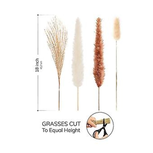 100 stk. Tørret Pampasgræs Dekoration Høj Dekoration Buket - Naturlig Pompas Græs Dekoration - Fluffy Pampas Græs