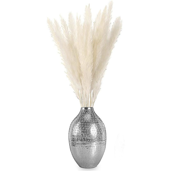 Tørket Pampasgress, Naturlig Pampasgress Tørket Pampas, Pampasgress Naturlig, Tørkede Siv, Tørkede Blomster, Pampasgress Til Hjemmedekor (10 Pie