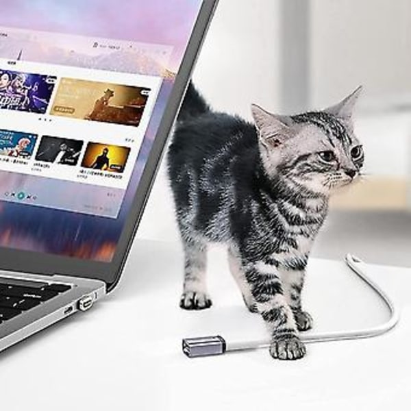 5a Magnetisk Adapter Usb C Hane Till Hona 100w Pd Snabbladdning Magnet Usb C Data Adapter Otg Anslutning, Rak