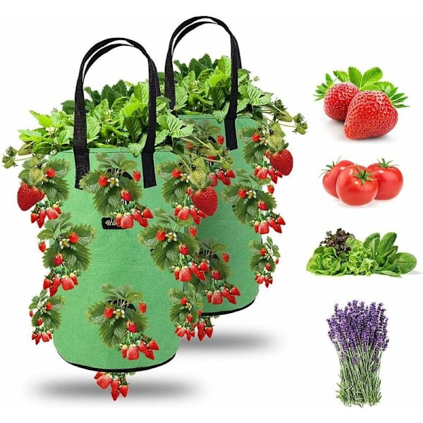 2pcs Strawberry Planting Bag, Garden Hanging Strawberry Grow Bags with 13 Holes, Planting Bag for Strawberries, Herbs, Tomatoes - 3 Gallon (2pcs - G