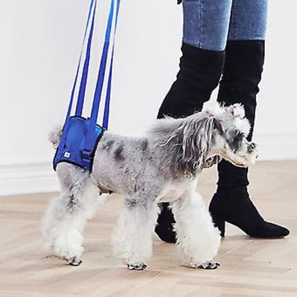 Hundpromenad Lyftsele Bärhjälp Stödsele för Höftassistent Skadad Funktionshindrad Husdjur (L)