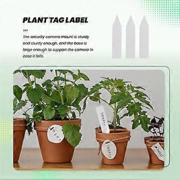 100 stk. Gjenbrukbare PVC Planteetiketter Tre Frukt Frøplante Hage Blomsterpotte Plast Etikett Skilt Sorteringsverktøy