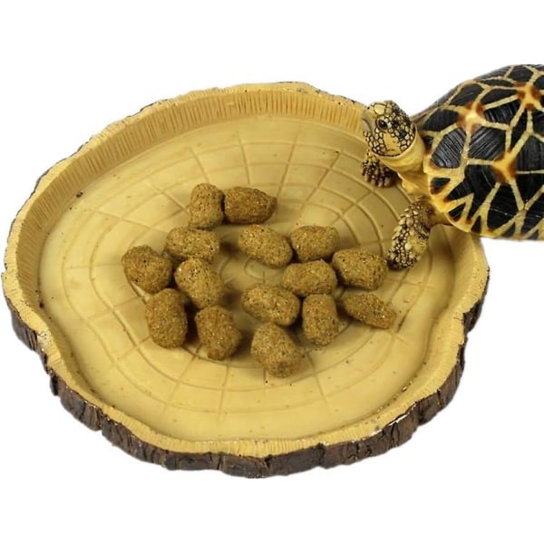 Liten reptilskål - Vatten- och matskål för reptiler, geckos, sköldpaddor, ormar - Terraristiska tillbehör (stam)
