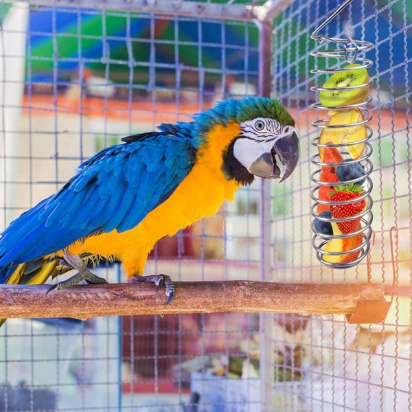 Papegojfoderkorg i rostfritt stål, papegoja hängande fruktdispenser grönsakshållare hirs, fågelburmatningstillbehör för parakiter Conure