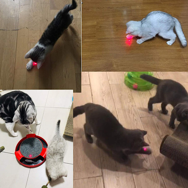 LED-pointer til katte og hunde - LED-lygte til kæledyr - USB-genopladelig