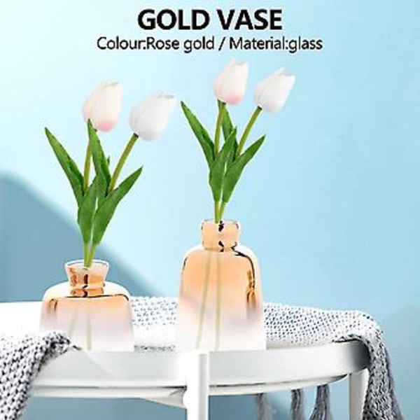 2-pack Glasvas Elektropläterad Vas Glasblomvaser För Hem R Torkad Blomma Bot