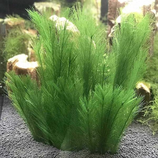Akvariedekorasjon Kunstige grønne vannplanter Silke Plast Trygt for alle fisk og kjæledyr-Fei Yu