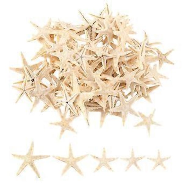 Små Sjöstjärnor Snäckor Strandhantverk 1 cm-3 cm 90 st