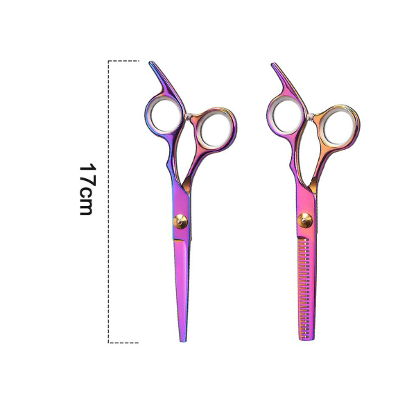 Hair Cutting Scissor Thinning Shear Set, Hairdressing Thinning/texturizing Shears/scissors, Salon Hair Scissors Style 1