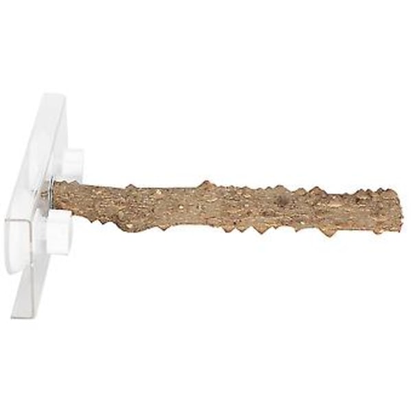 25 cm Papukaijat Ulkokäyttöön Kannettava Puinen Seisomatanko Lemmikkilinnun Suihkuteline Imu Kupilla