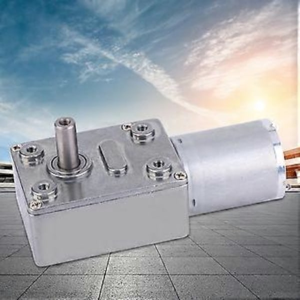 Mikro DC-motor med hastighetsreduktion, stor torsionsmaskväxelmotor 12V(10)