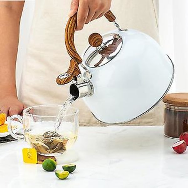 Te, 2,5 l mindre stålkedler med fløjte til komfur, med høj og ant