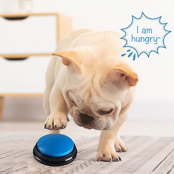 Hundeknapper for kommunikasjon Stemmeopptakbare knapper Hund for ord og svar Knapper for hundetrening av 5 stk