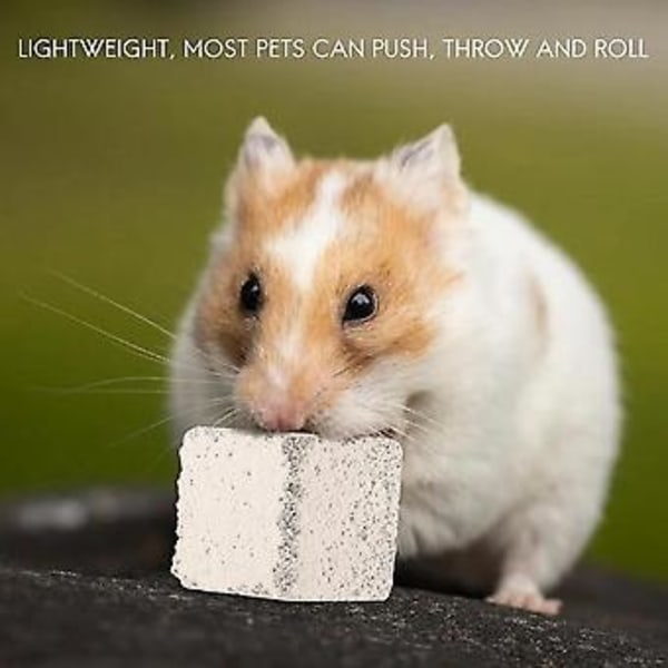 20 st Molar Hamster Chinchilla Kanin Lavablock Molarsten Hamster Litet Husdjur Bitresistent Kub