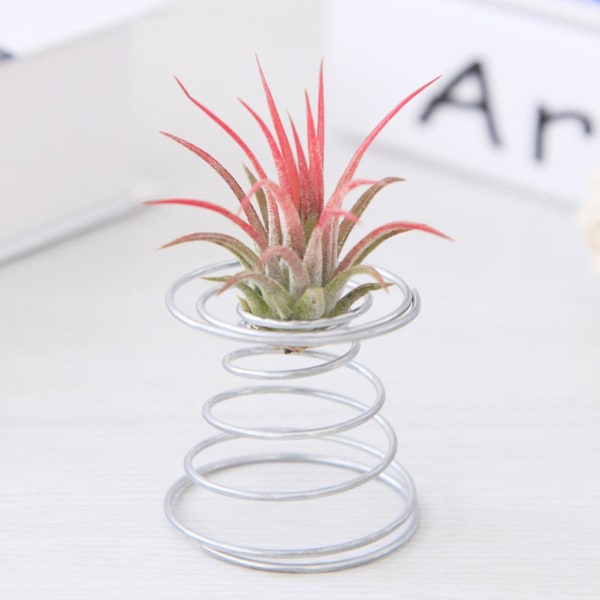 Luftplante Spring Wire Bordplateholder Tillandsia Holder Miniatyr Hagedekorasjoner