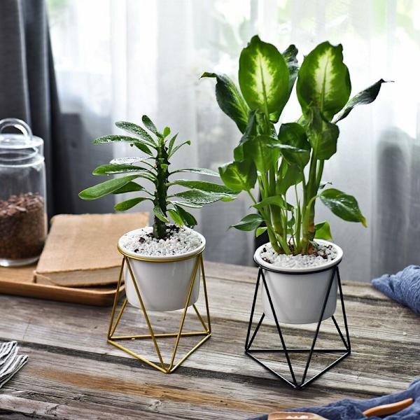 Inomhuskrukor 6 tum Modern trädgård Keramisk rund skål med metall Luftväxt hållare för kaktus Suckulent planter (Vit+Svart)