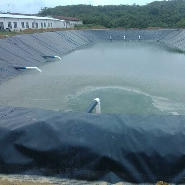 HDPE Polyethylene Damduk 2m x 3m - Svart, for fiskedammer, bekker, fontener og vannhager