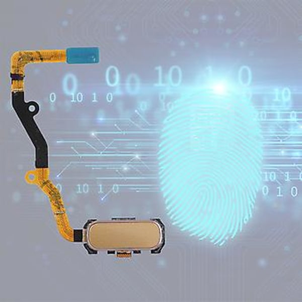 Fingeravtrycksknapp, Hemknapp Fingeravtryck Fingeravtrycksläsare Hemknapp Toppklass