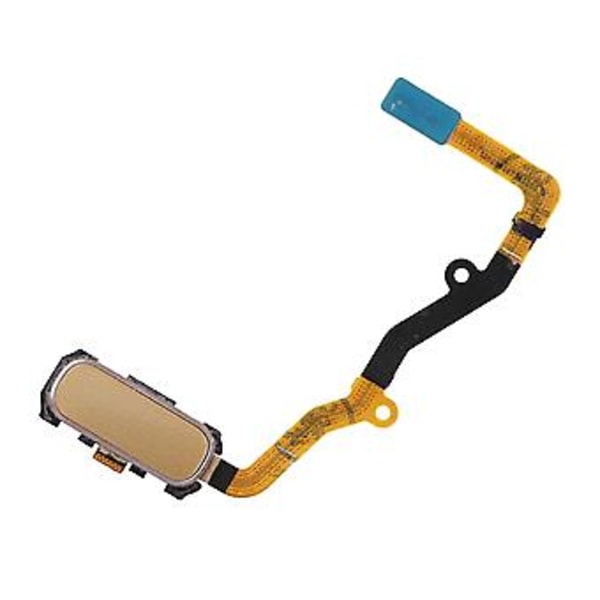 Fingeravtrykksknapp, Hjemknapp Fingeravtrykk Fingeravtrykkskanner Hjemknapp Toppmodell