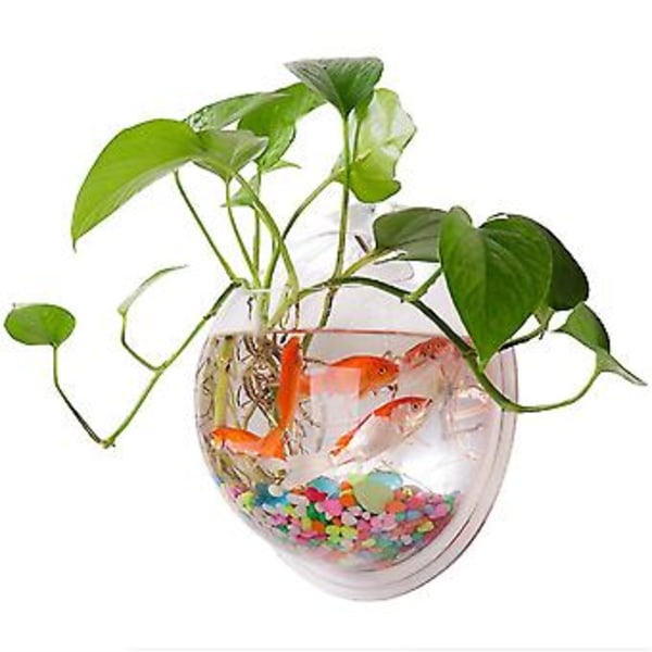 Vegghengt akvarium akryl fiskebolle hengende dekorativ beholder