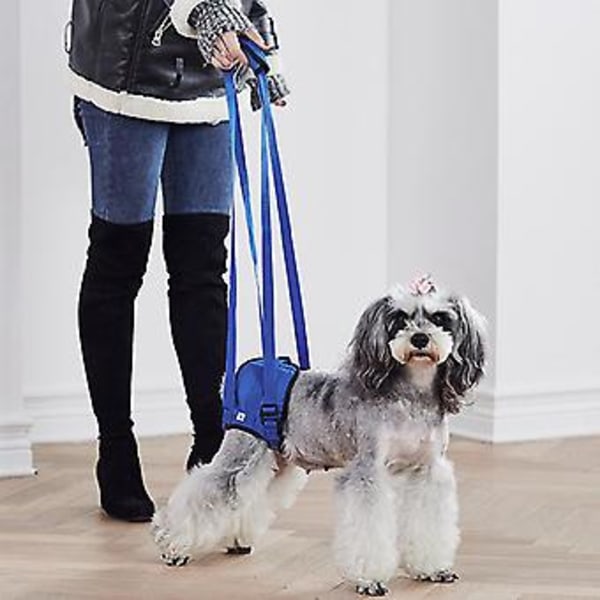 Hundpromenad Lyftsele Bärhjälp Stödsele för Höftassistent Skadad Funktionshindrad Husdjur (L)