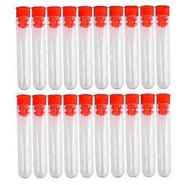 20 st Oavslutade Plast Provrör Lab Testverktyg Med Skruvlock Transparent, 12 * 60mm