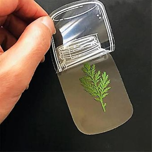 Kuivattu kukkapullo, läpinäkyvä kuivattu kukka S, tee-se-itse kuivattu kukka, sopii naisille