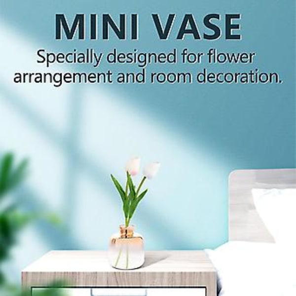 2-pack Glasvas Elektropläterad Vas Glasblomvaser För Hem R Torkad Blomma Bot