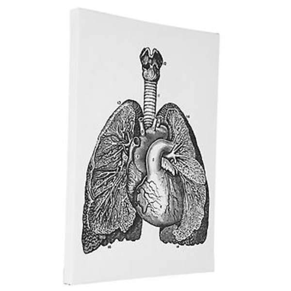 Anatomian kangas, Anatomian kangas Retro koristeellinen seinätaidekoristelu Retro riippuva maalaus sujuva toiminta