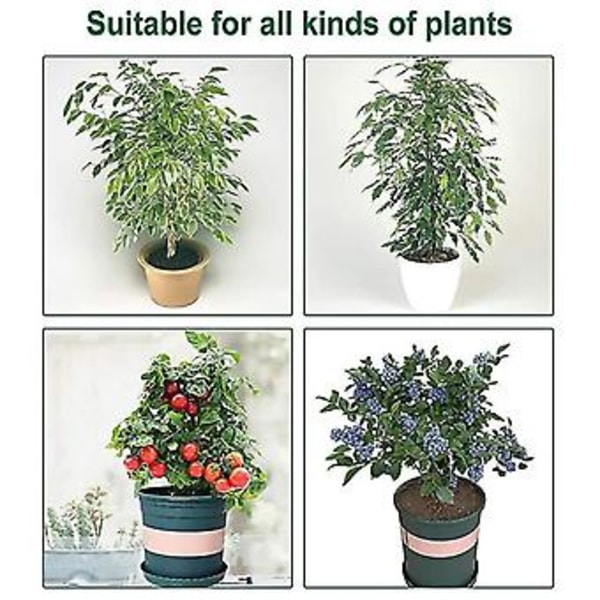5 pakker En plante med reb, tomatbeskyttelsesdæksel En planteisolat B