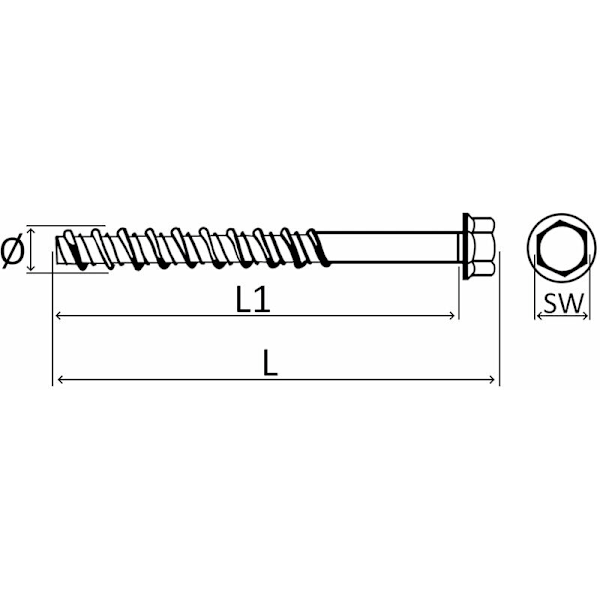 Pakke med 10 sekskantede hovedbetonskruer med flange/flange Ø6x50 mm - Direkte fastgørelse uden dyvel - til 7,5 mm unbrakonøgle - Stål - til renovering