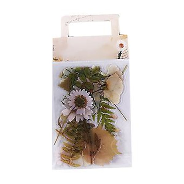 40 Stycken Botaniska Klistermärken PET Multifunktionella Bladverk Floral Estetiska Klistermärken för Handbok Typ 2