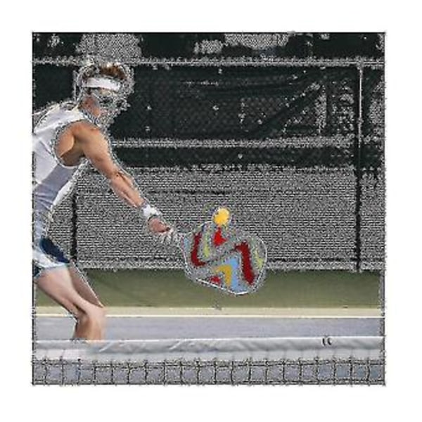 Pickleballracketar Portabel Pickleball-paddel Slitstark Halkfri Slitstark För Vuxna Nybörjare
