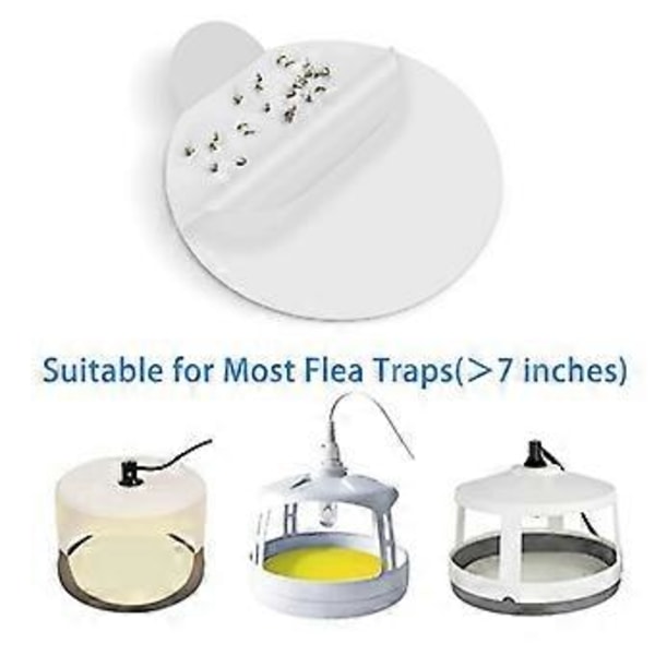 50 stk. Refill-disker for loppefelle, erstatningsbrett, passer de fleste modeller av klebrige kuppelfeller for lopper innendørs