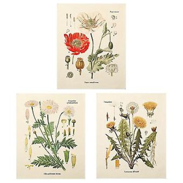 3 st Blomsterväv Väggbonad Vildblomma Växt Floral Vävdiagram Liten Väv För Sovrum