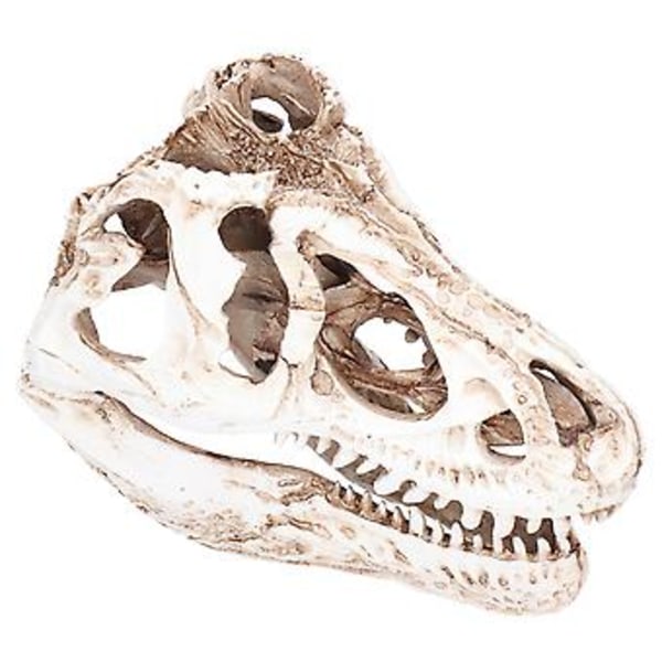 Kranieindretning, Resin Dinosaurie Kranie Ornament Kranie Statue Resin Kranie Model Banebrydende Funktioner