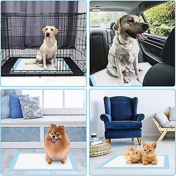 Valpetreningsmatter for hund, absorberende tisseunderlag, sklisikker og lekkasjesikker (40-pakning - 60 * 60 cm)