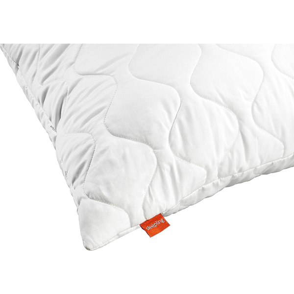 Set med 2 mikrofiberkuddar 65 x 65 cm, vit