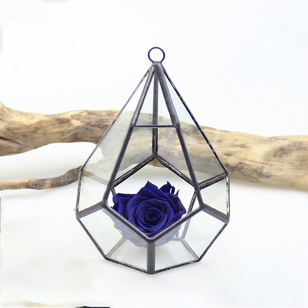 Hängande glas terrarium modern konstnärlig vägg tårar form diamant geometrisk polyh