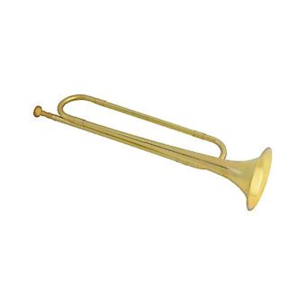 Number En Trumpet Char Number Number Student Number