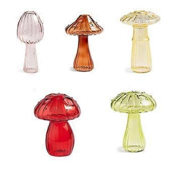 Svamp Glasplanteringskärl, Set med 5 Färgade Växtförökningsstationer, Mini Terrarium för Växter, Unik Liten Glasvas